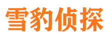 岳阳楼捉小三公司